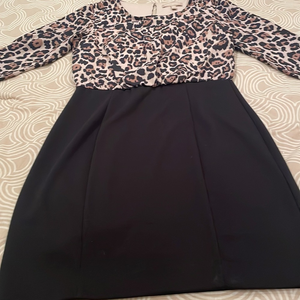 Banana Republic dress, animal print top, fitted skirt, 4P